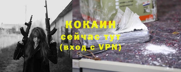 мдпв Богданович
