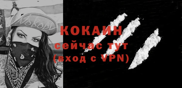 мдпв Богданович