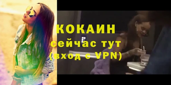 мдпв Богданович