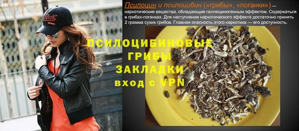 мдпв Богданович